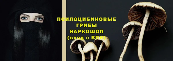 первитин Саяногорск