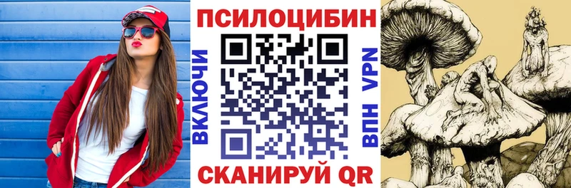 Купить где Емва Псилоцибиновые грибы MAGIC MUSHROOMS